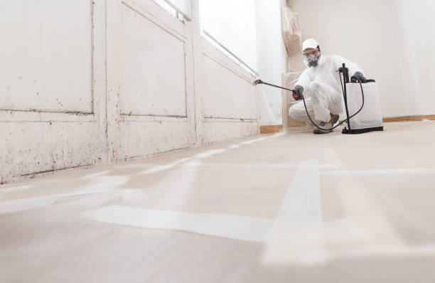 24/7 Emergency Attic Mold Removal experts in Myerstown, PA